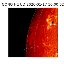 gong - 2026-01-17T10:00:02