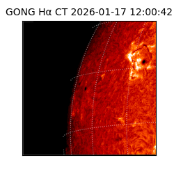gong - 2026-01-17T12:00:42