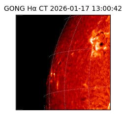 gong - 2026-01-17T13:00:42