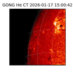 gong - 2026-01-17T15:00:42