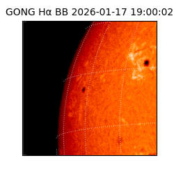 gong - 2026-01-17T19:00:02