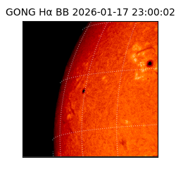 gong - 2026-01-17T23:00:02