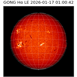 gong - 2026-01-17T01:00:42