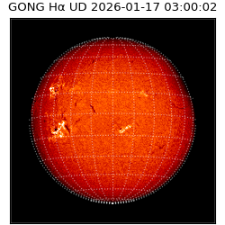 gong - 2026-01-17T03:00:02