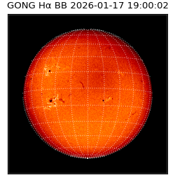gong - 2026-01-17T19:00:02