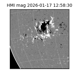shmi - 2026-01-17T12:58:30