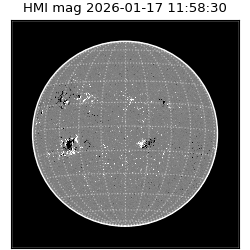 shmi - 2026-01-17T11:58:30