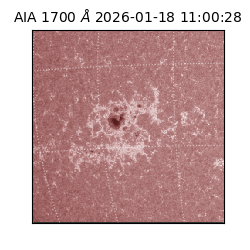 saia - 2026-01-18T11:00:28.718000