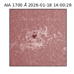 saia - 2026-01-18T14:00:28.718000
