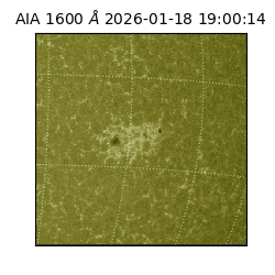 saia - 2026-01-18T19:00:14.125000