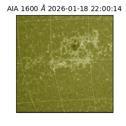 saia - 2026-01-18T22:00:14.126000
