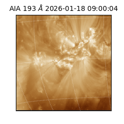 saia - 2026-01-18T09:00:04.843000