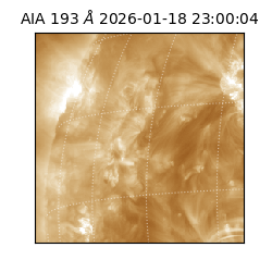 saia - 2026-01-18T23:00:04.843000