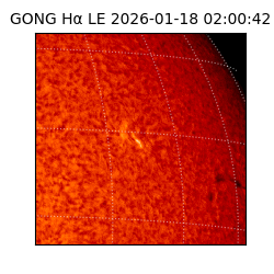 gong - 2026-01-18T02:00:42