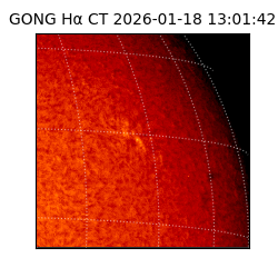 gong - 2026-01-18T13:01:42