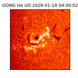 gong - 2026-01-18T04:00:02