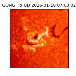 gong - 2026-01-18T07:00:02
