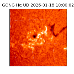 gong - 2026-01-18T10:00:02