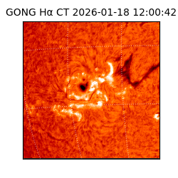gong - 2026-01-18T12:00:42