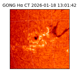 gong - 2026-01-18T13:01:42