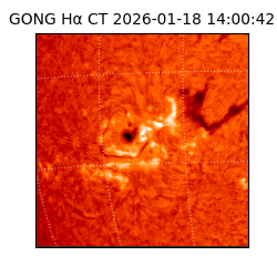 gong - 2026-01-18T14:00:42
