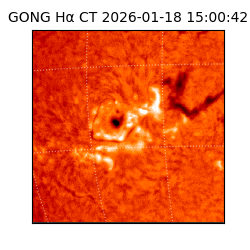gong - 2026-01-18T15:00:42