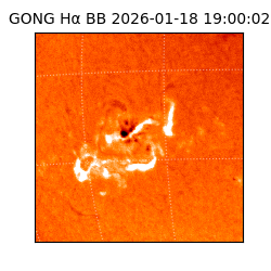 gong - 2026-01-18T19:00:02