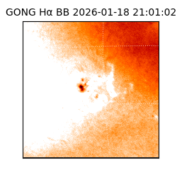 gong - 2026-01-18T21:01:02