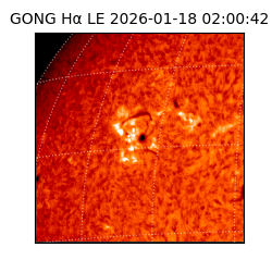 gong - 2026-01-18T02:00:42