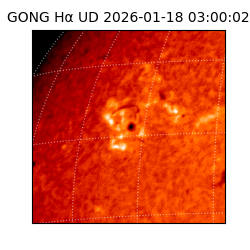 gong - 2026-01-18T03:00:02