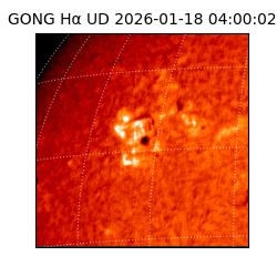 gong - 2026-01-18T04:00:02