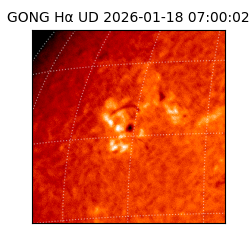 gong - 2026-01-18T07:00:02