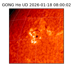 gong - 2026-01-18T08:00:02