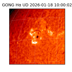 gong - 2026-01-18T10:00:02