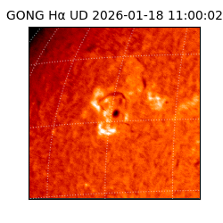 gong - 2026-01-18T11:00:02