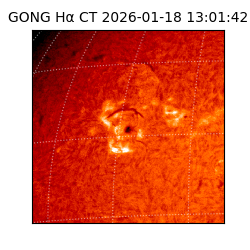 gong - 2026-01-18T13:01:42