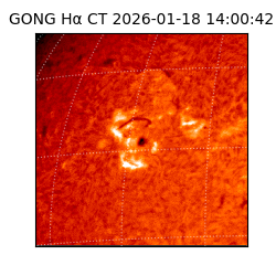 gong - 2026-01-18T14:00:42