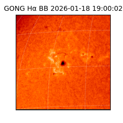 gong - 2026-01-18T19:00:02