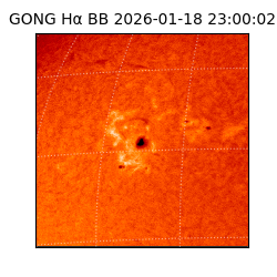 gong - 2026-01-18T23:00:02