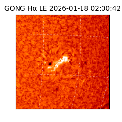 gong - 2026-01-18T02:00:42