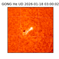 gong - 2026-01-18T03:00:02