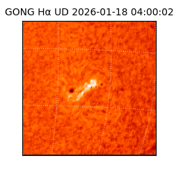 gong - 2026-01-18T04:00:02