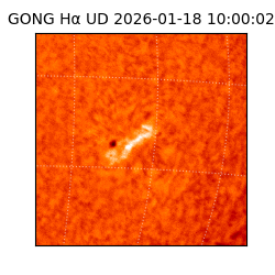 gong - 2026-01-18T10:00:02