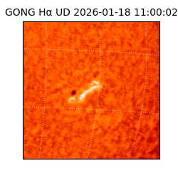 gong - 2026-01-18T11:00:02