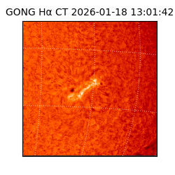 gong - 2026-01-18T13:01:42