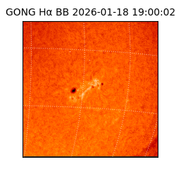 gong - 2026-01-18T19:00:02