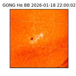 gong - 2026-01-18T22:00:02