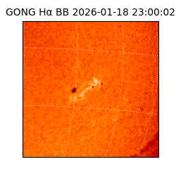 gong - 2026-01-18T23:00:02