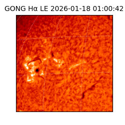 gong - 2026-01-18T01:00:42