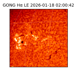 gong - 2026-01-18T02:00:42
